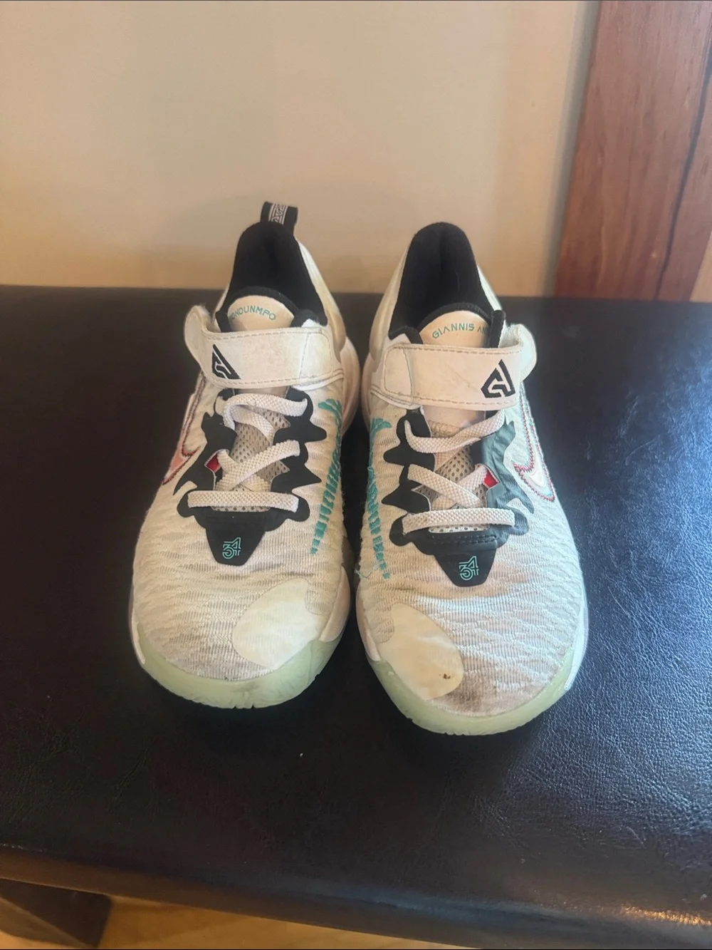 Nike Giannis basketball shoes